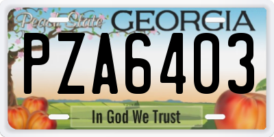 GA license plate PZA6403