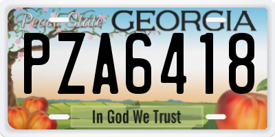 GA license plate PZA6418