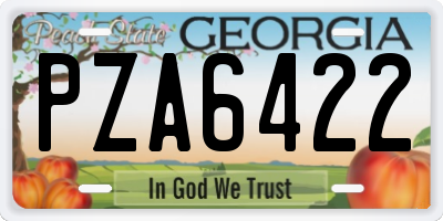 GA license plate PZA6422
