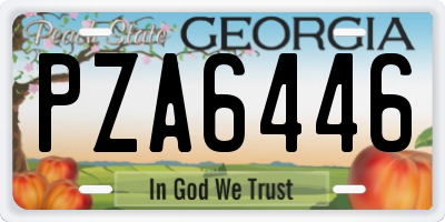GA license plate PZA6446