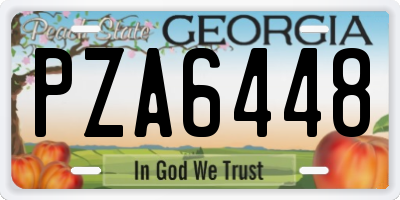 GA license plate PZA6448
