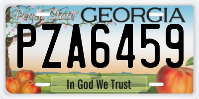 GA license plate PZA6459