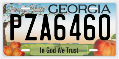 GA license plate PZA6460