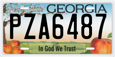 GA license plate PZA6487