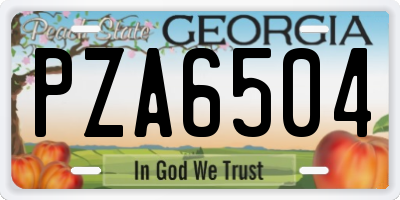 GA license plate PZA6504