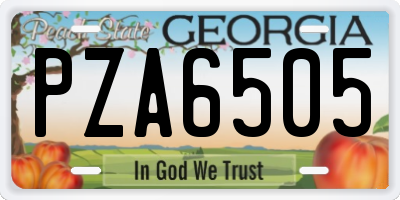 GA license plate PZA6505