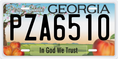 GA license plate PZA6510