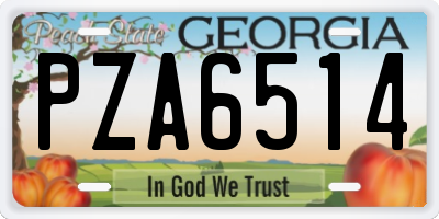 GA license plate PZA6514