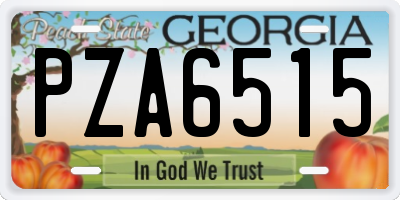 GA license plate PZA6515