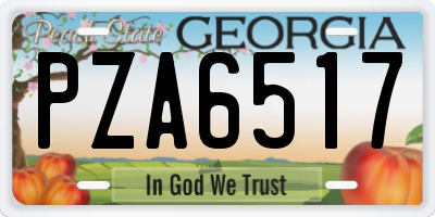 GA license plate PZA6517