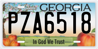 GA license plate PZA6518