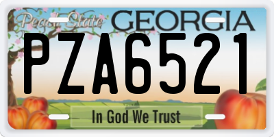 GA license plate PZA6521