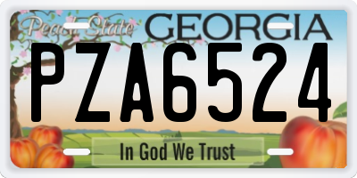 GA license plate PZA6524