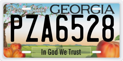 GA license plate PZA6528