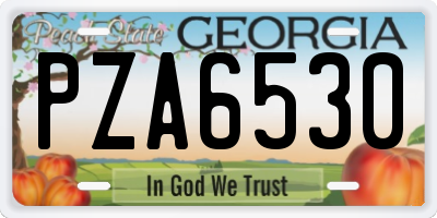 GA license plate PZA6530