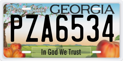 GA license plate PZA6534