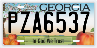 GA license plate PZA6537