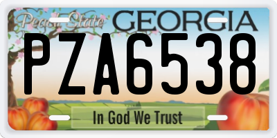 GA license plate PZA6538