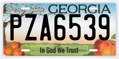 GA license plate PZA6539