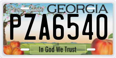 GA license plate PZA6540