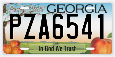 GA license plate PZA6541