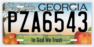 GA license plate PZA6543