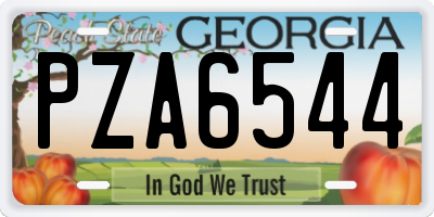 GA license plate PZA6544