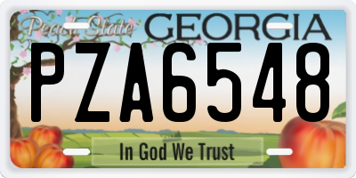 GA license plate PZA6548
