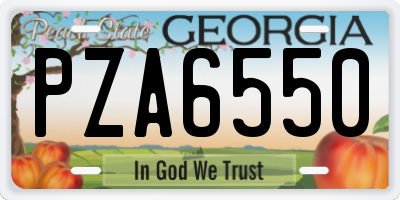 GA license plate PZA6550