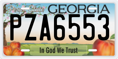 GA license plate PZA6553