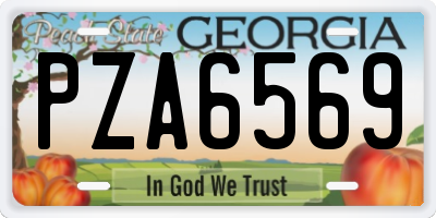 GA license plate PZA6569