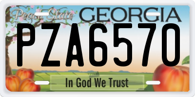 GA license plate PZA6570