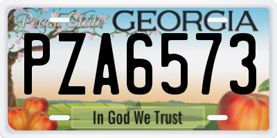 GA license plate PZA6573