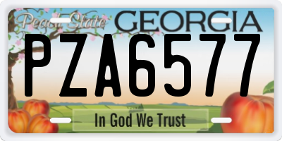 GA license plate PZA6577
