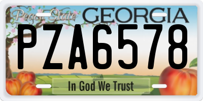 GA license plate PZA6578