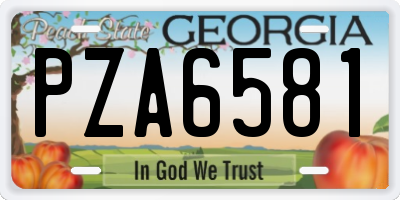 GA license plate PZA6581