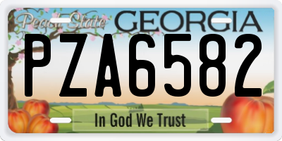 GA license plate PZA6582