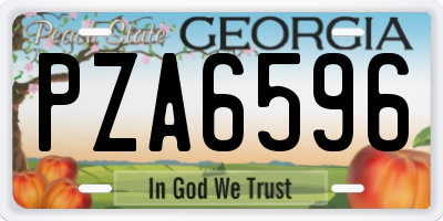 GA license plate PZA6596
