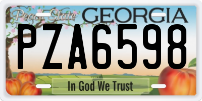 GA license plate PZA6598
