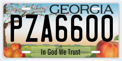 GA license plate PZA6600