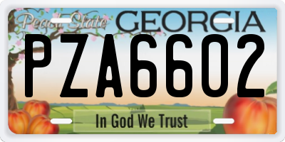 GA license plate PZA6602