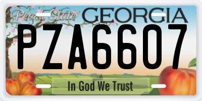 GA license plate PZA6607