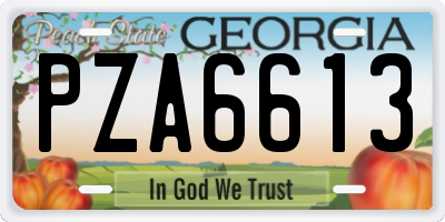GA license plate PZA6613