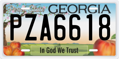 GA license plate PZA6618