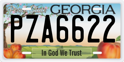GA license plate PZA6622