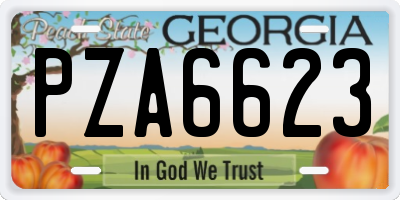 GA license plate PZA6623