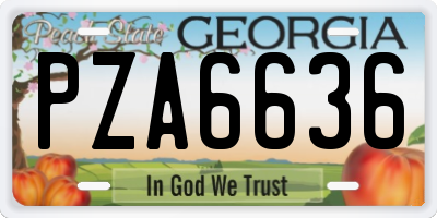 GA license plate PZA6636
