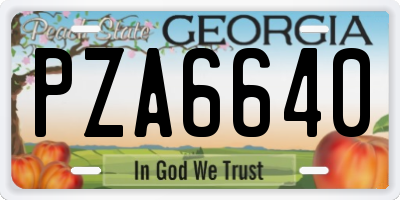 GA license plate PZA6640