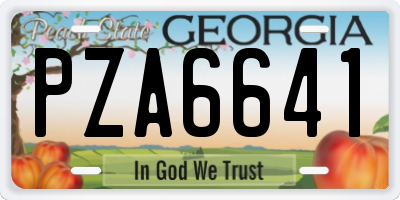 GA license plate PZA6641