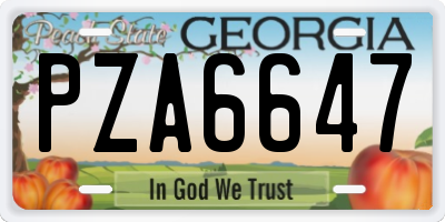 GA license plate PZA6647